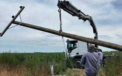 Beneficios de la Energía Eléctrica Rural ⚡🌱🚜